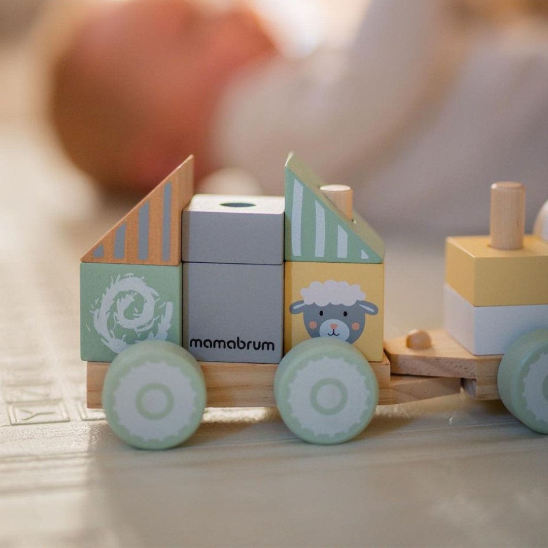Fából készült vonat blokkokkal egy fiúnak - Farm