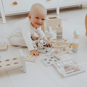 Montessori oktatódoboz kisgyermekeknek - 6 db játék