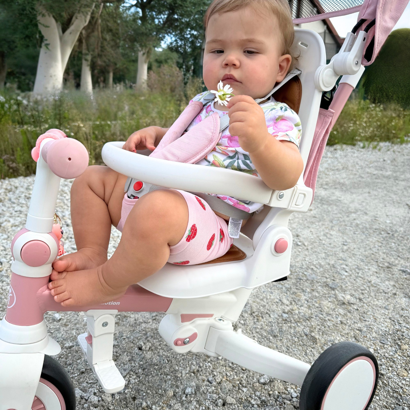 8in1 multifunkciós tricikli TOBI FOREST - rózsaszín