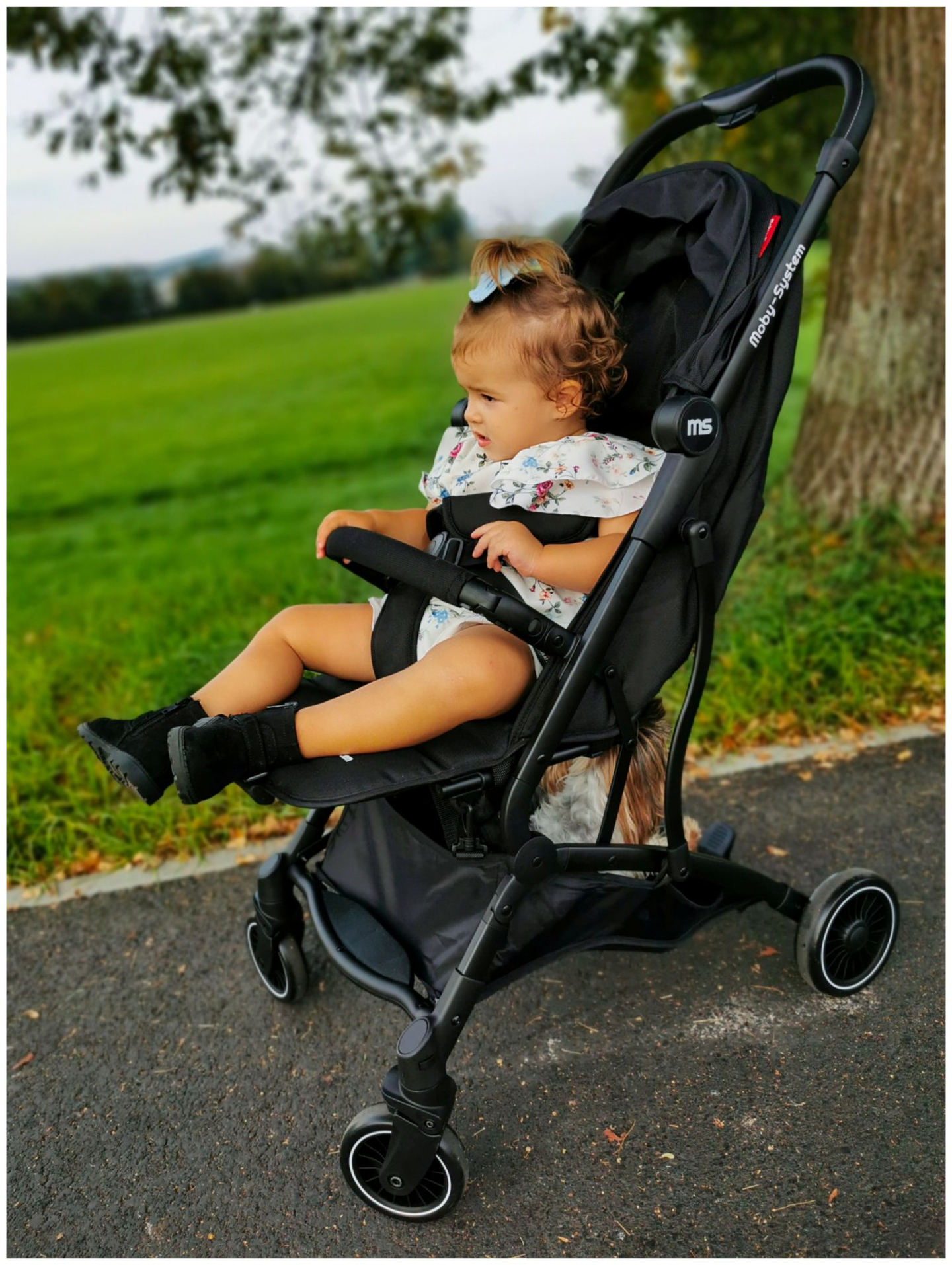 Gyermekkocsi Moby-System LENA