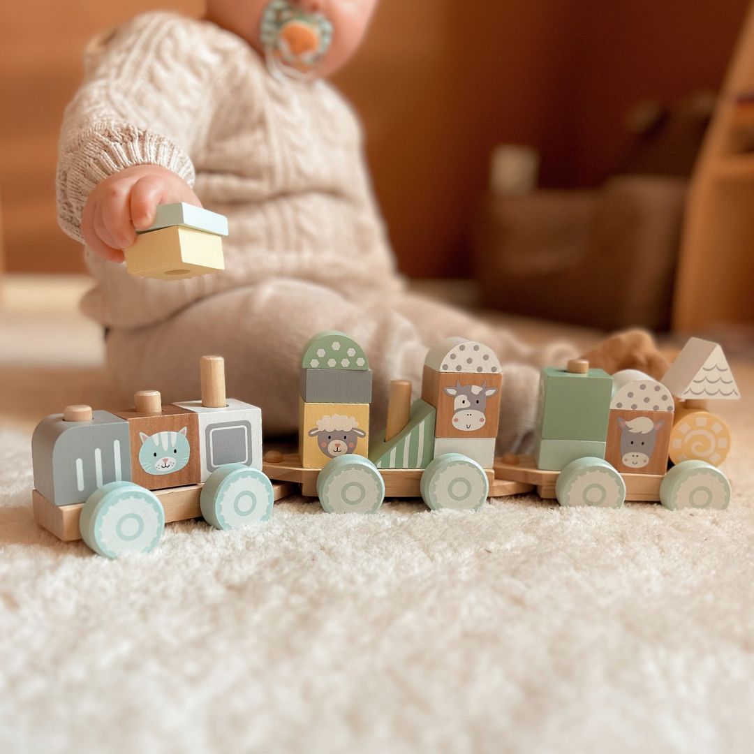 Fából készült vonat blokkokkal egy fiúnak - Farm
