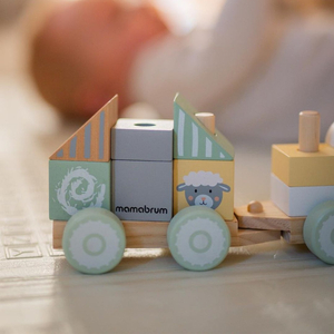 Fából készült vonat blokkokkal egy fiúnak - Farm